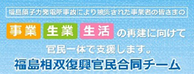 福島相双復興官民合同チーム