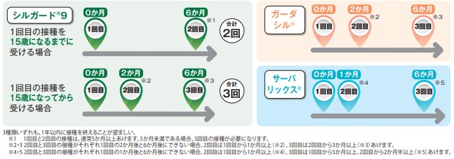 一般的な接種スケジュール