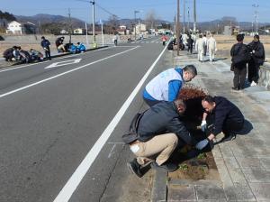 県道夜の森停車場線花壇花植えの様子１
