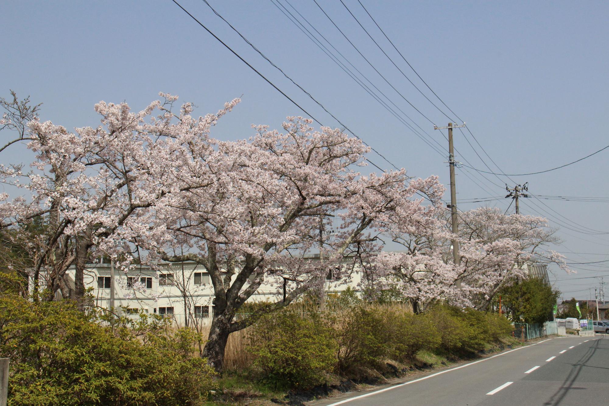 岩井戸～清水