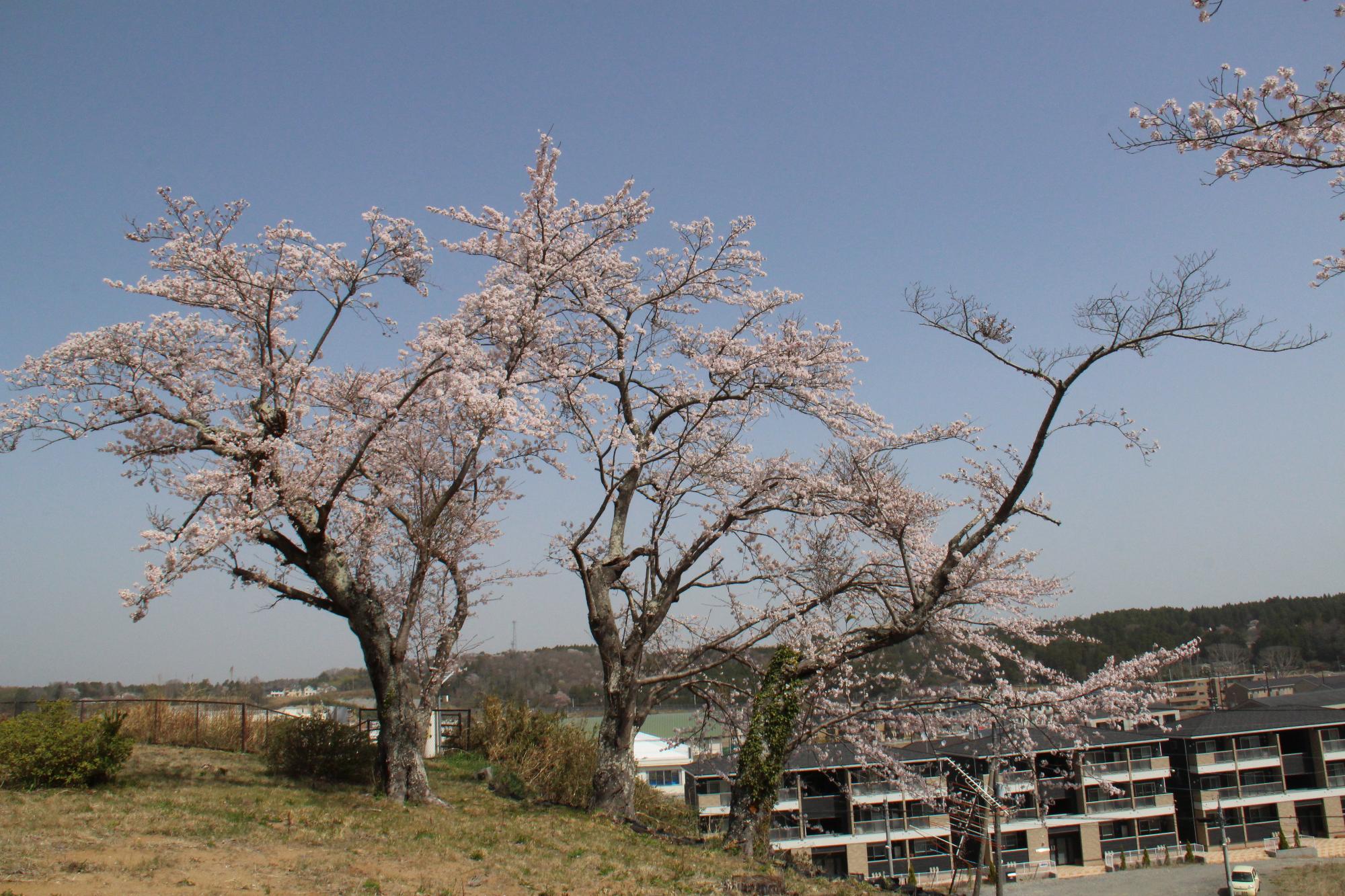 富岡公園