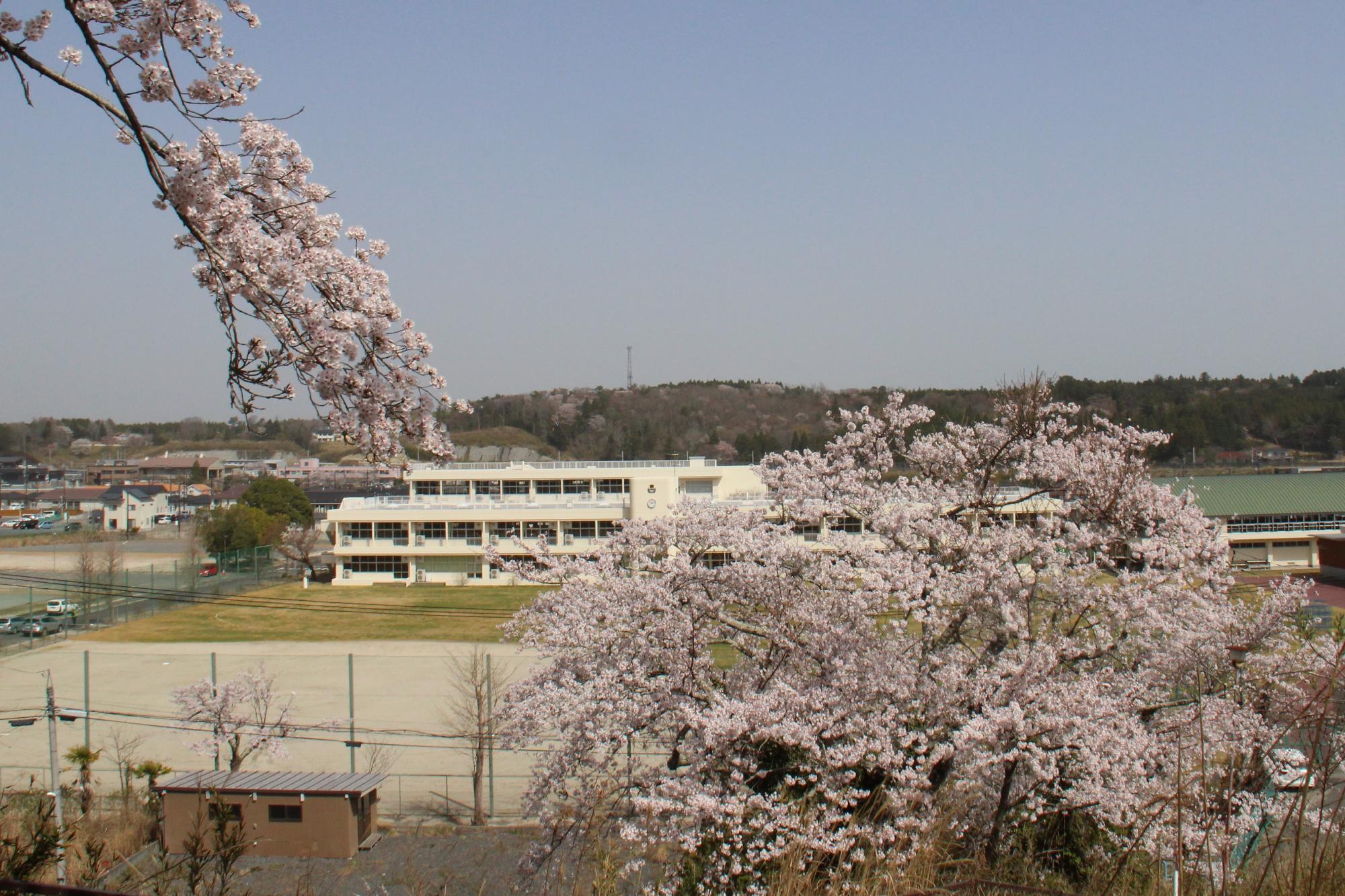 富岡公園