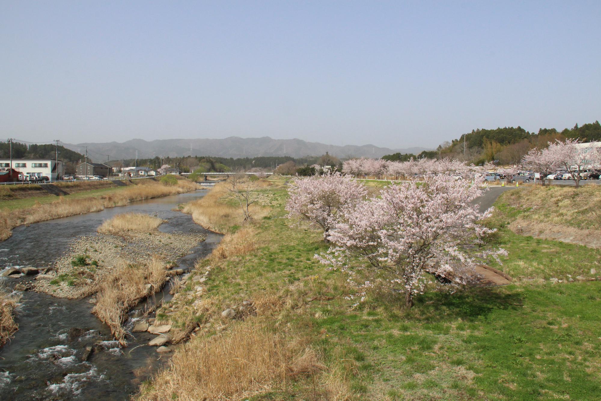 富岡川河川敷