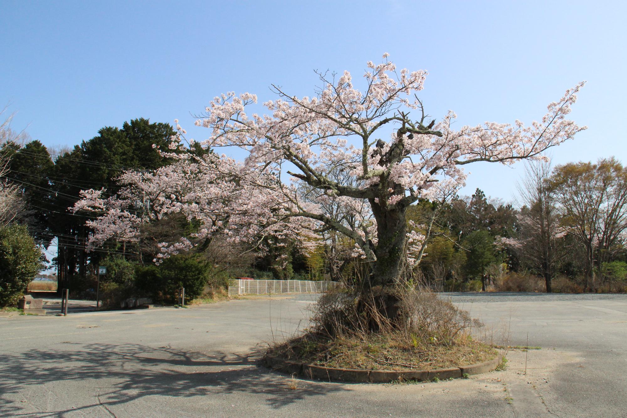 富岡第二小学校