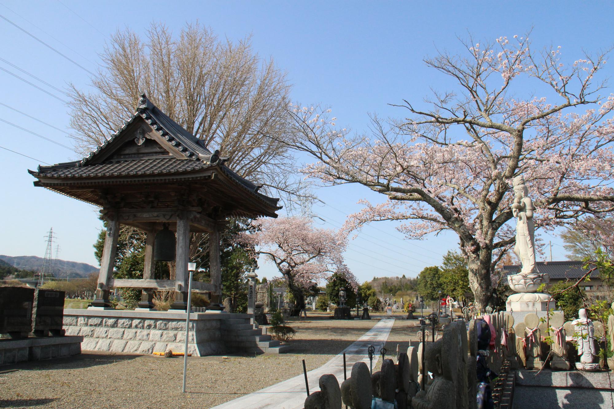 地蔵院