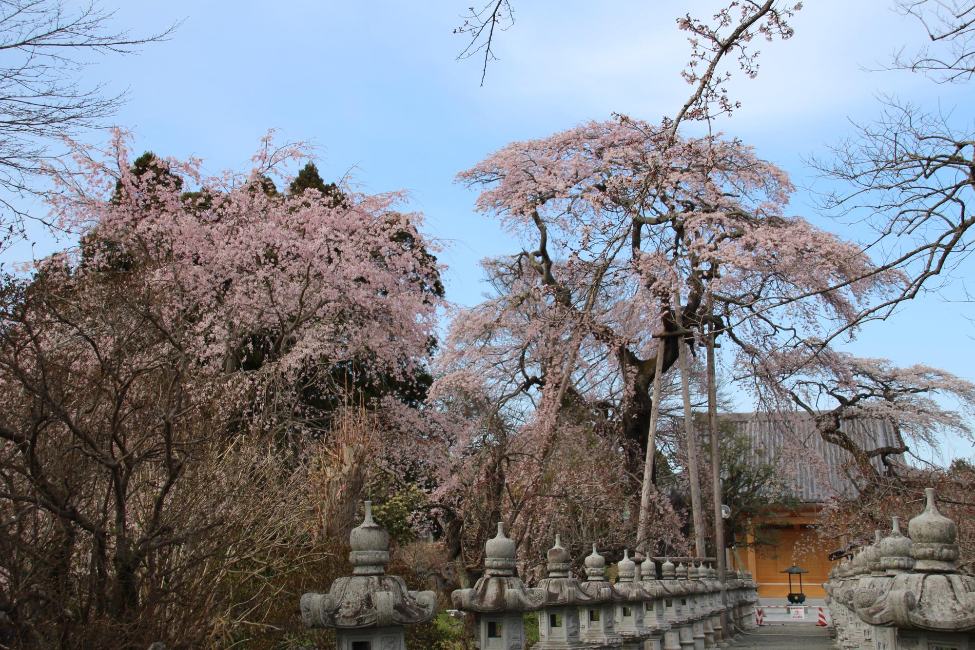 宝泉寺