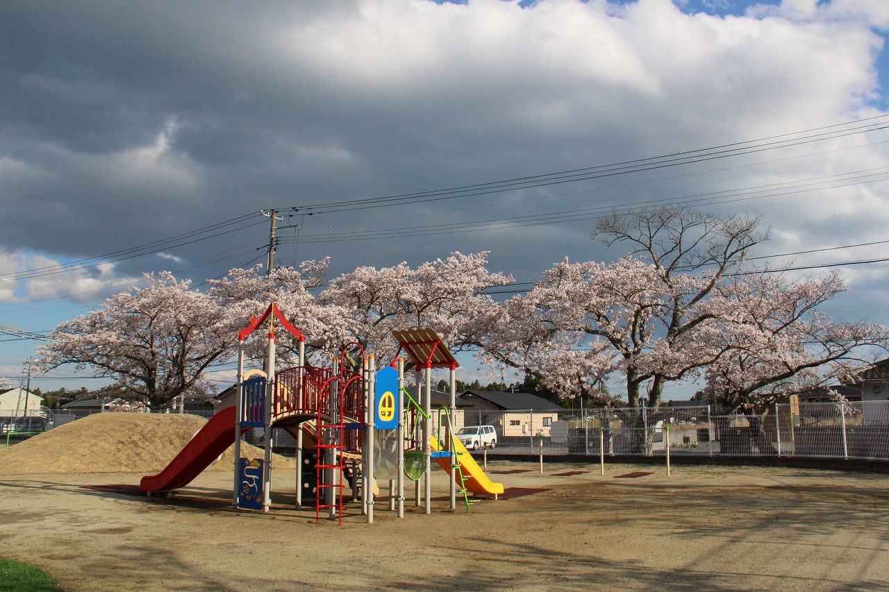 にこにここども園の写真