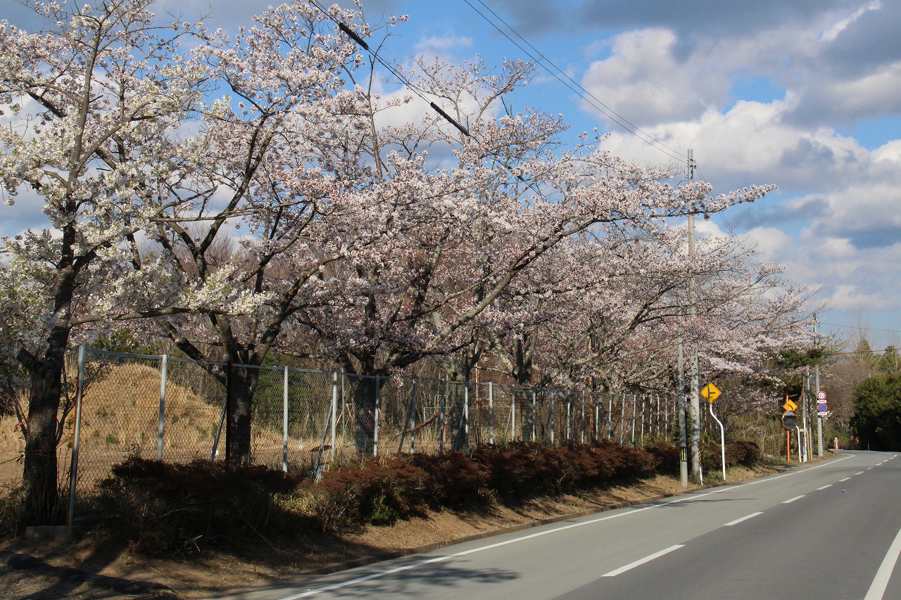 岩井戸農村広場の写真