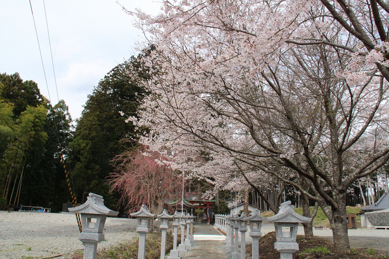 諏訪神社の写真