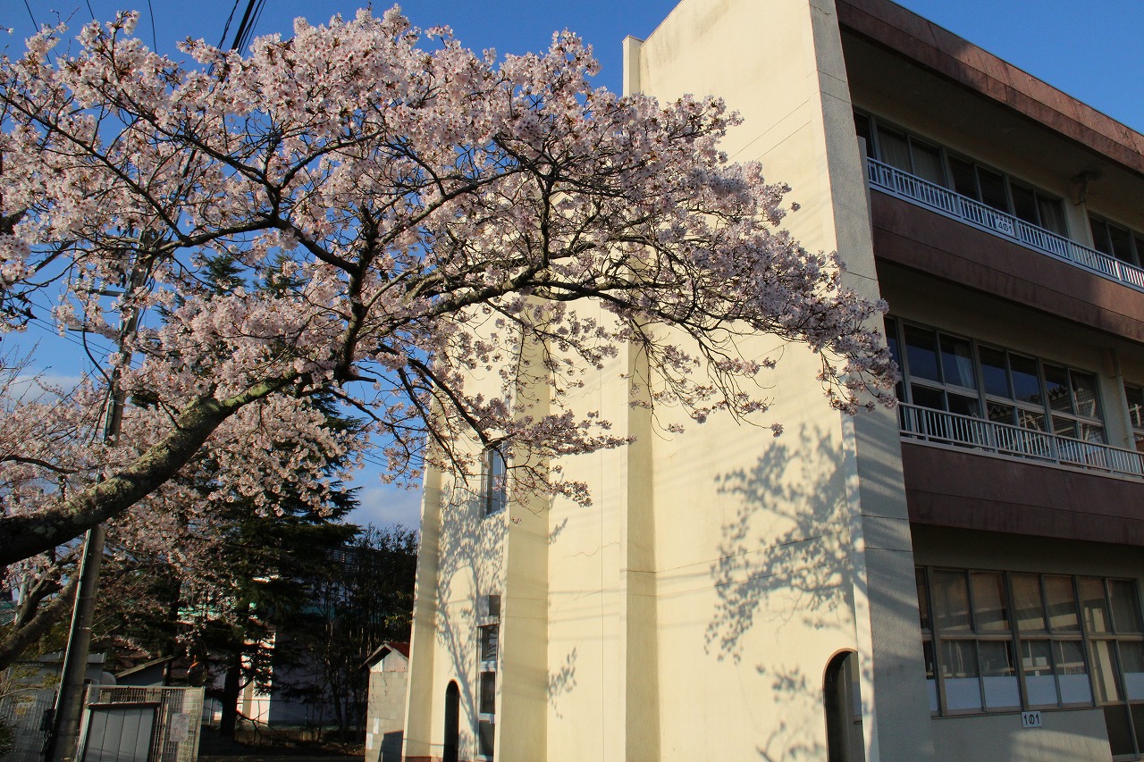 富岡第一小学校の写真