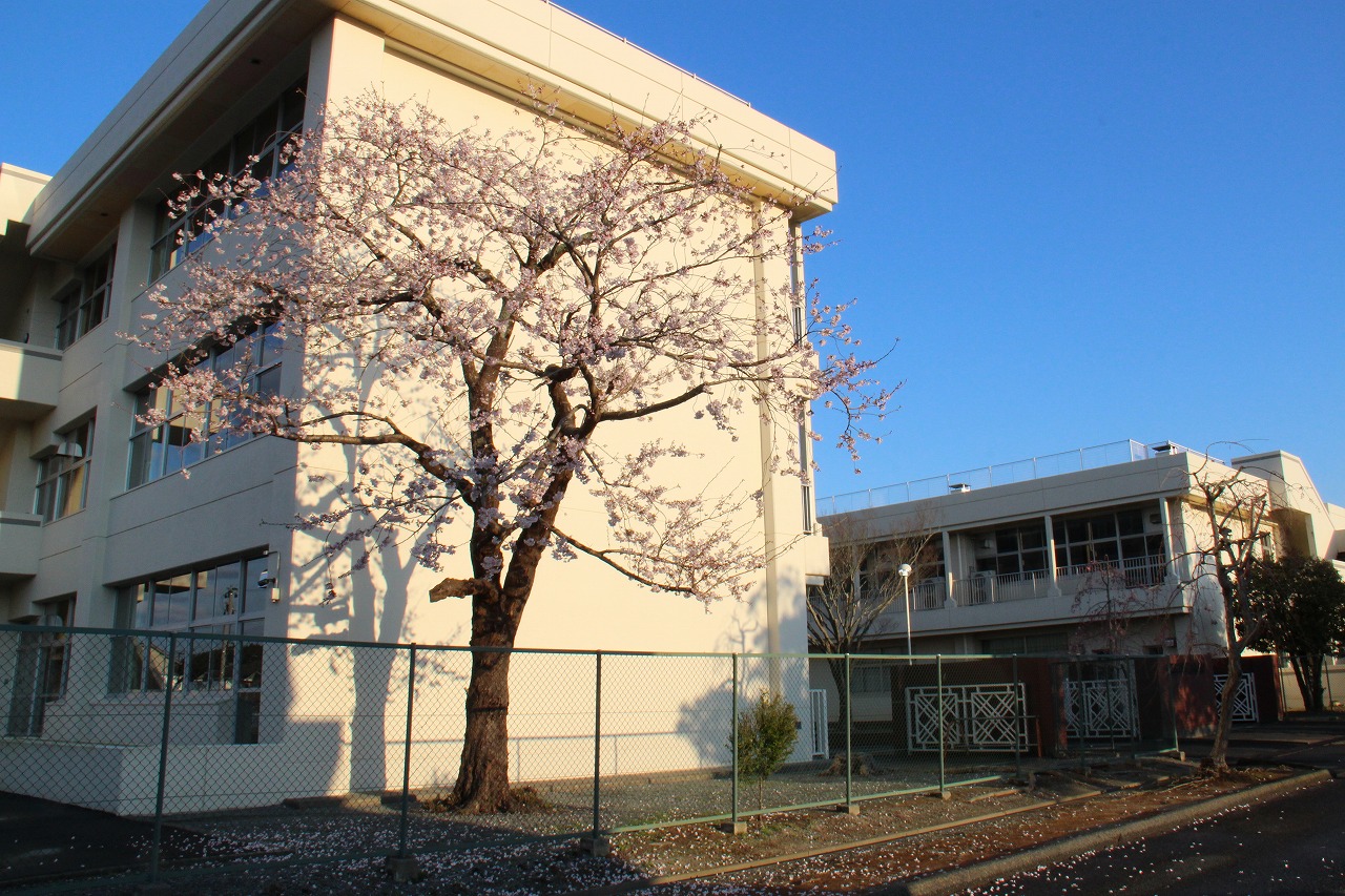 富岡第一中学校の写真