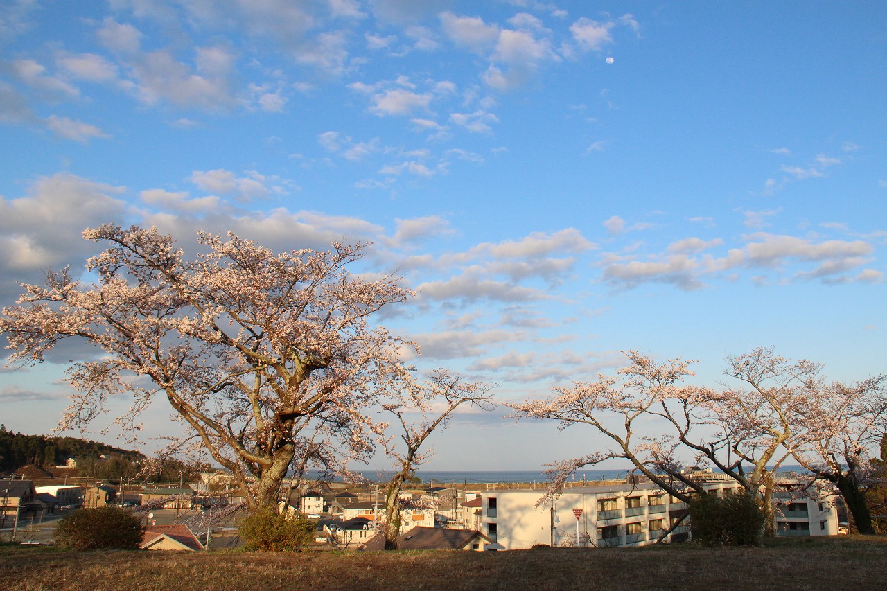 富岡公園の写真