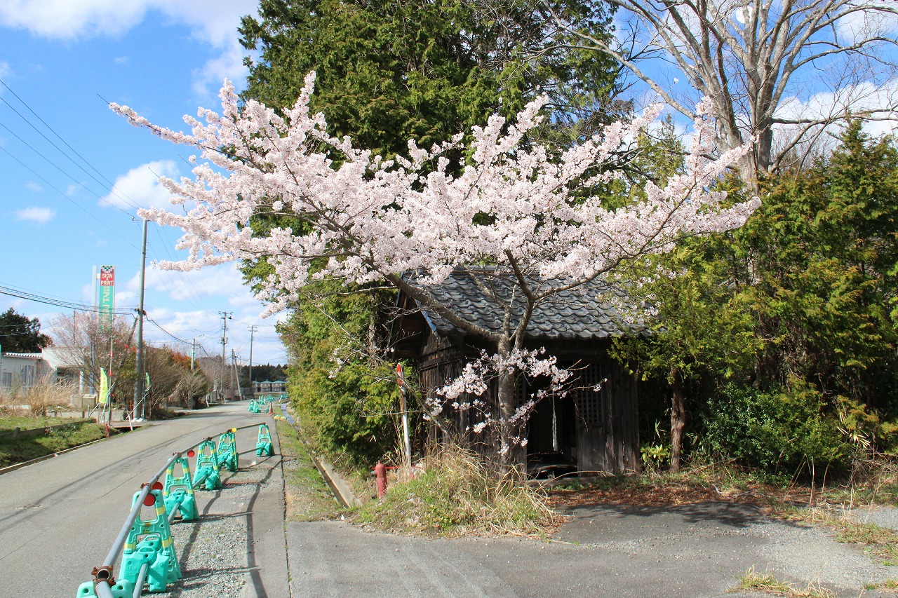 新夜ノ森(旧消防署近く)の写真