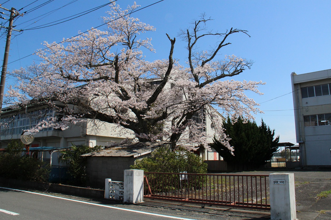 富岡第二中学校の写真