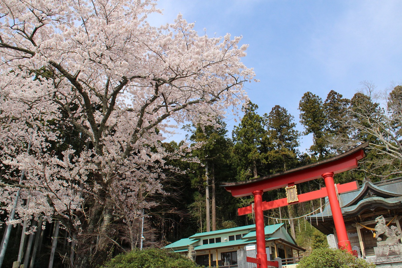 麓山神社の写真