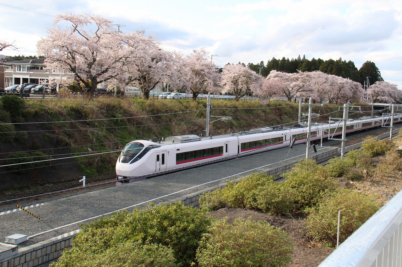 桜の下を走る特急ひたちの写真