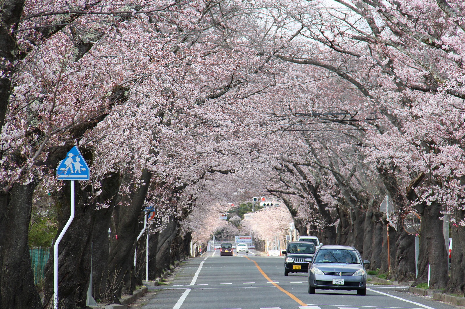 富岡二中通りの写真