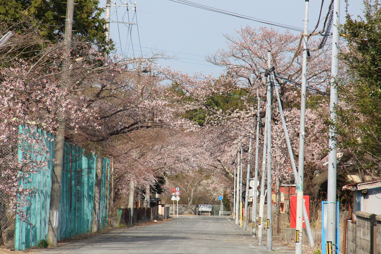 帰還困難区域内