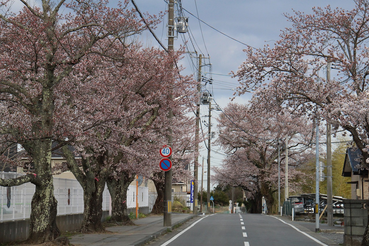 にこにここども園前