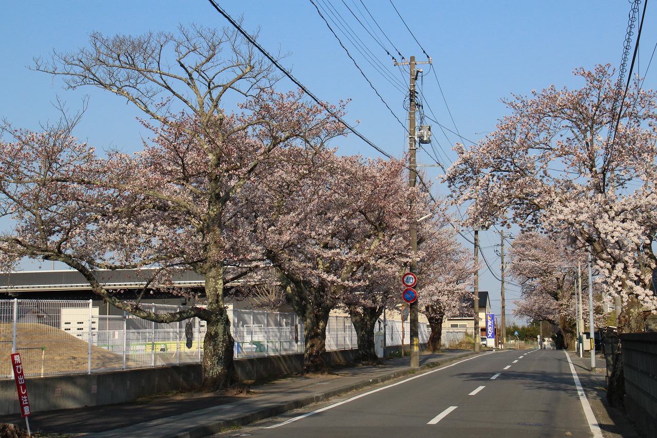 にこにここども園前。元気な子どもたちの声が聞こえてくるようです