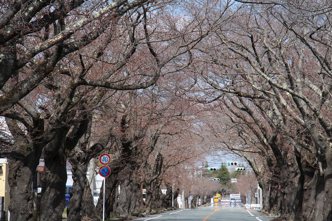 富岡二中前2