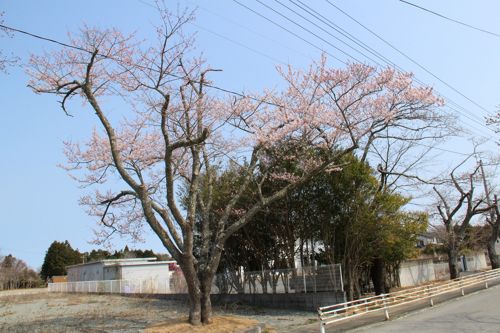 旧神明電機前