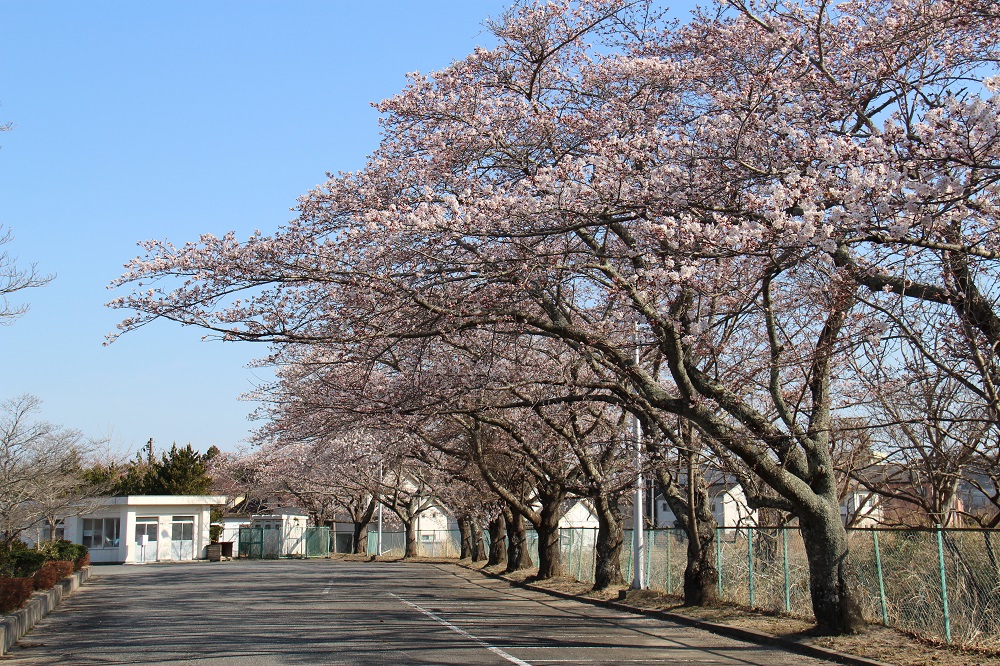 総合運動場1