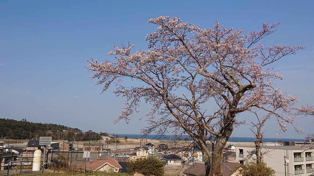 富岡公園の写真