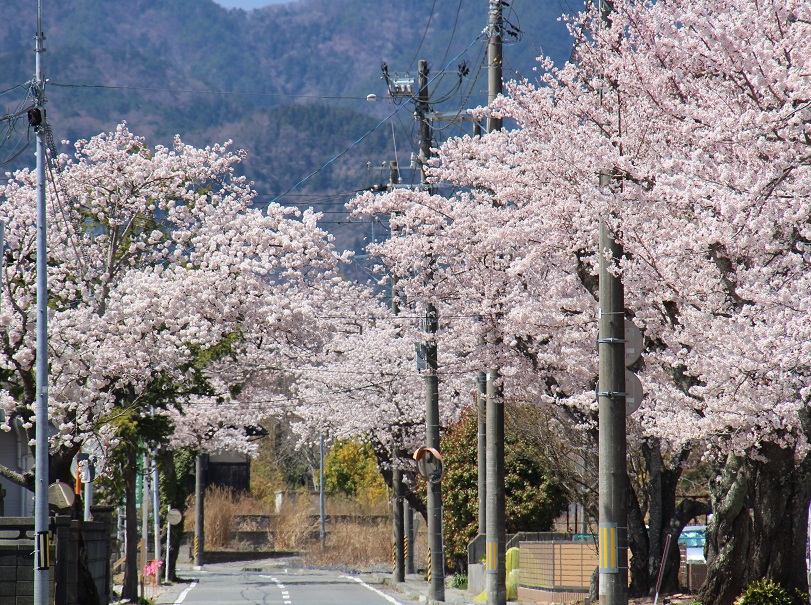 清水～西原線の写真