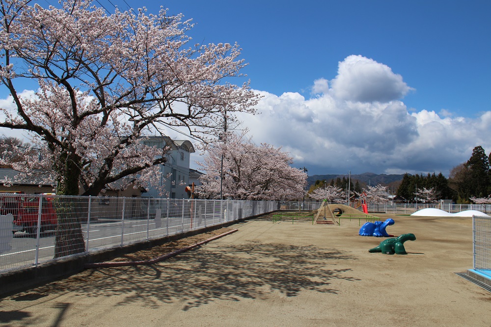 にこにここども園の写真