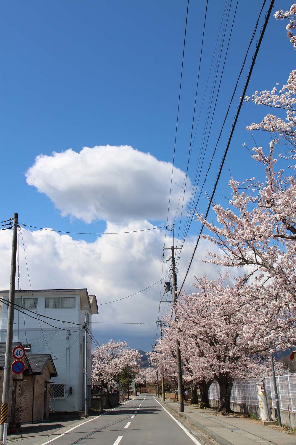 こども園前1の写真