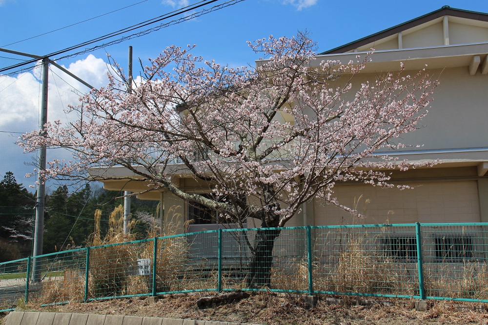 富岡高校の写真