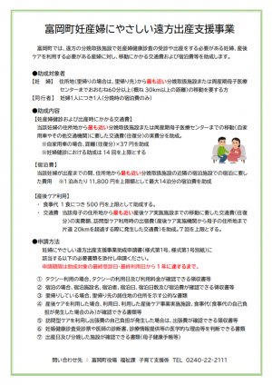 本事業の概要について記載のあるチラシ
