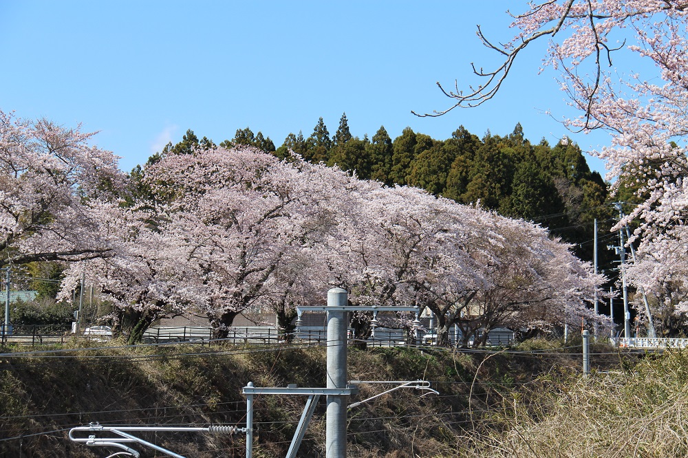 一橋付近の写真