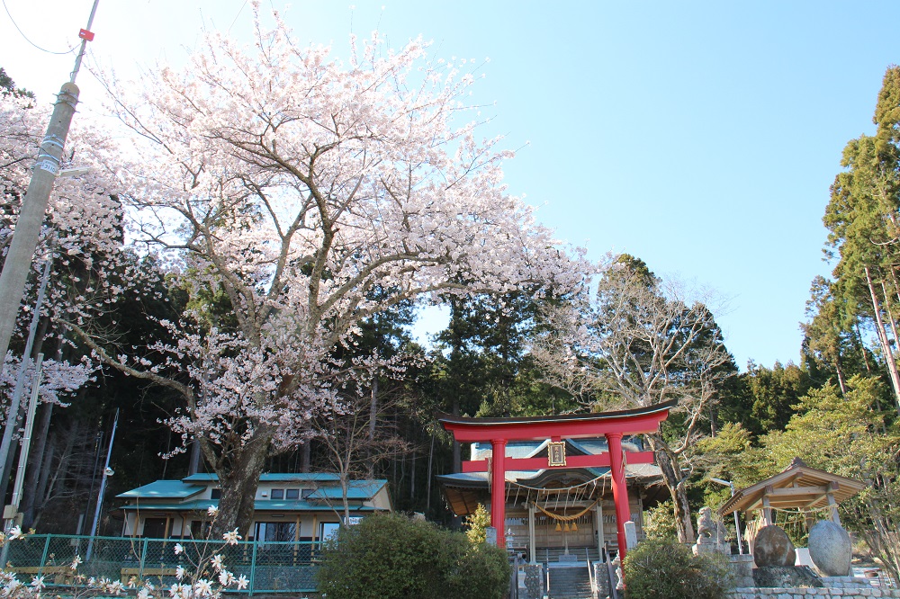 麓山神社の写真