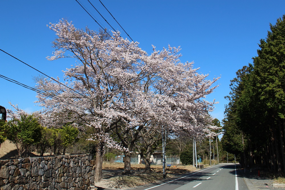 赤木地区の写真