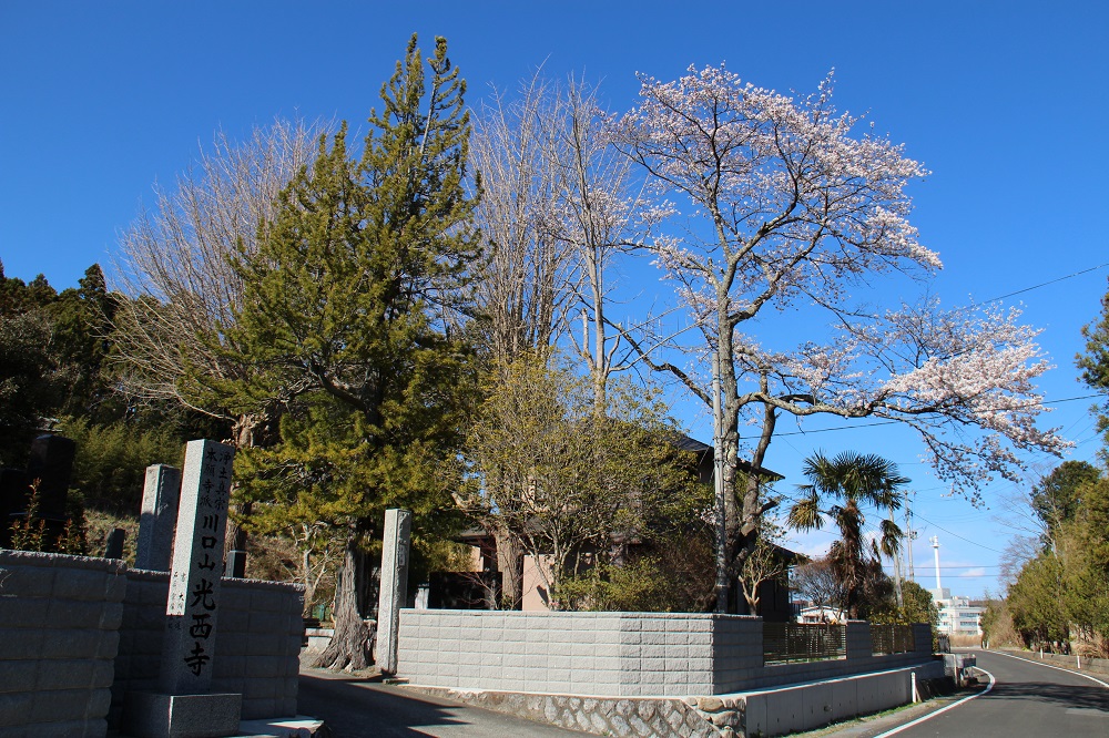 光西寺1の写真