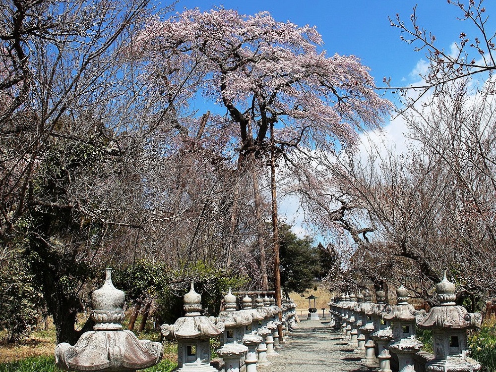 宝泉寺1