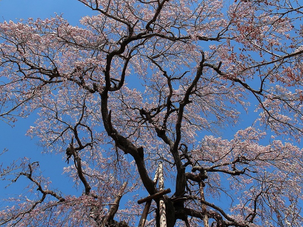 宝泉寺2