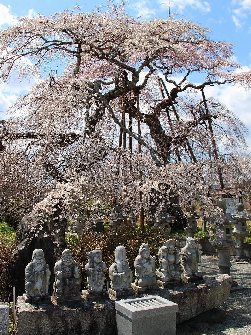 宝泉寺3