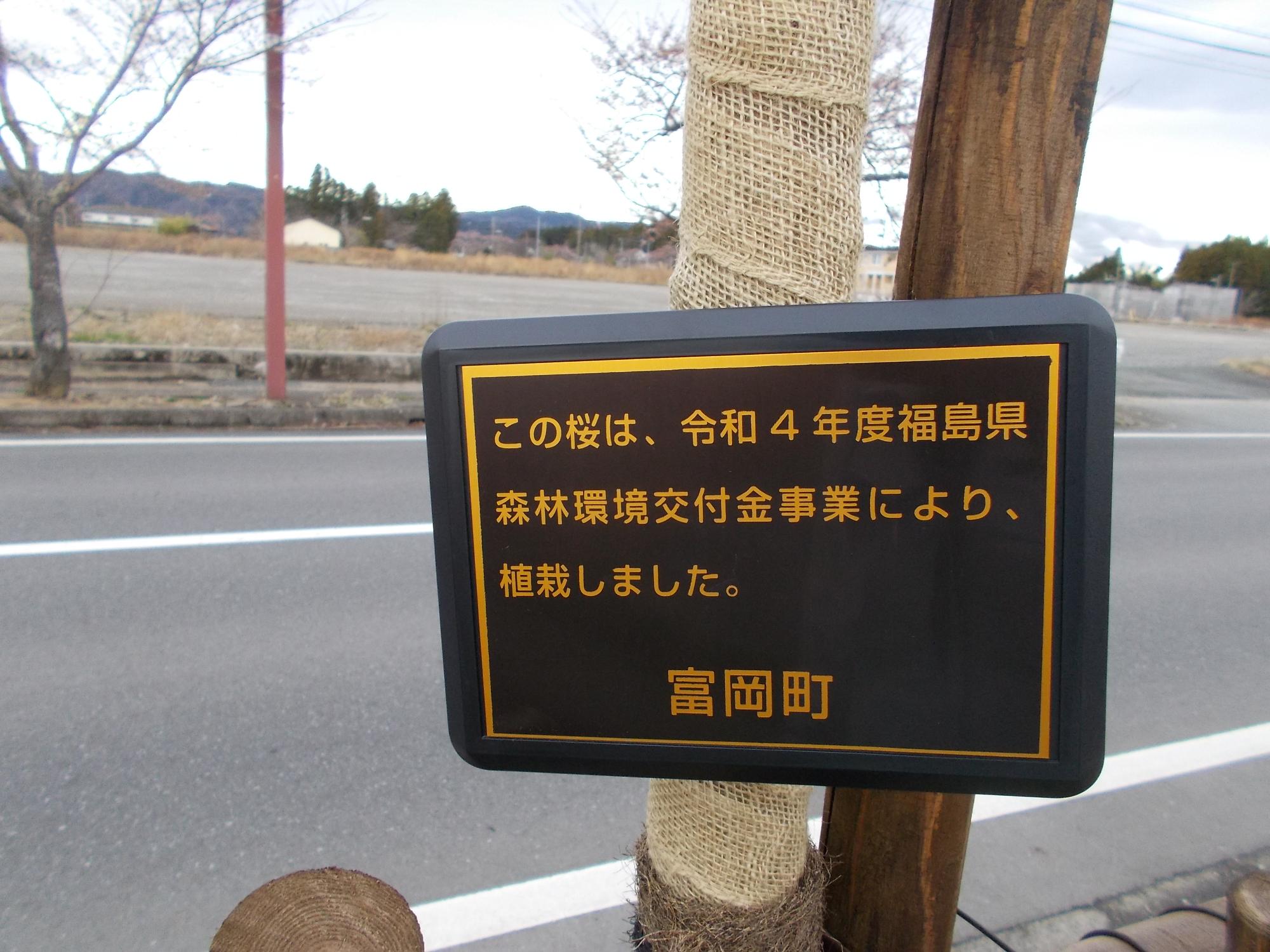 令和4年度緑の文化財保全(夜の森の桜並木)の写真