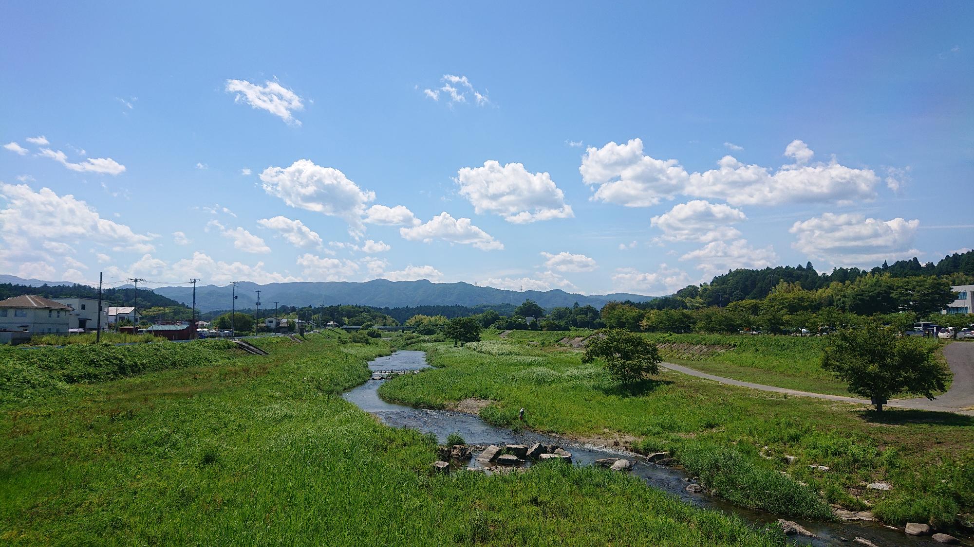 青空と緑豊かな中を流れる富岡川の写真